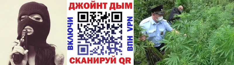omg ТОР  закладка  Назарово  Канабис сатива 